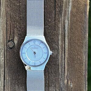 Skagen Mesh Stainless Steel Watch